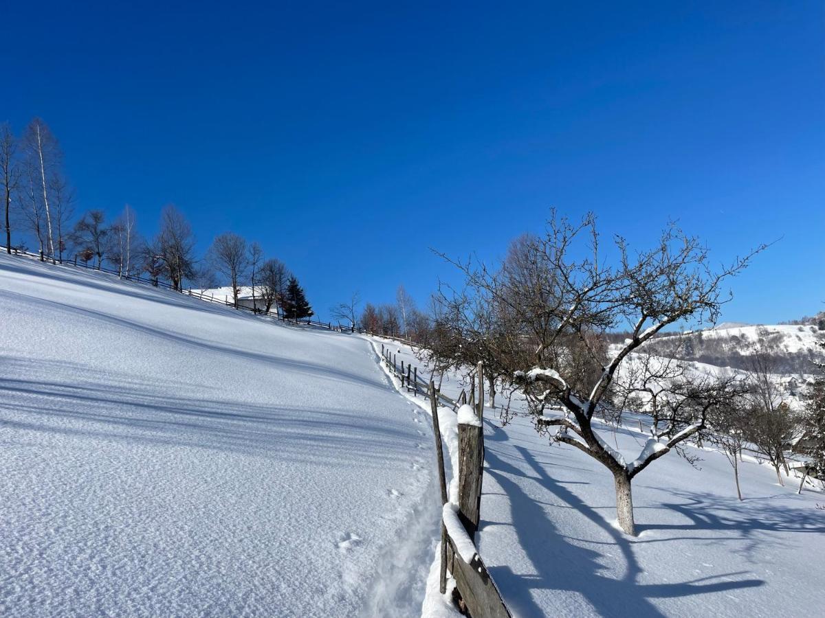 Bran Place La Odaie Simon Luaran gambar
