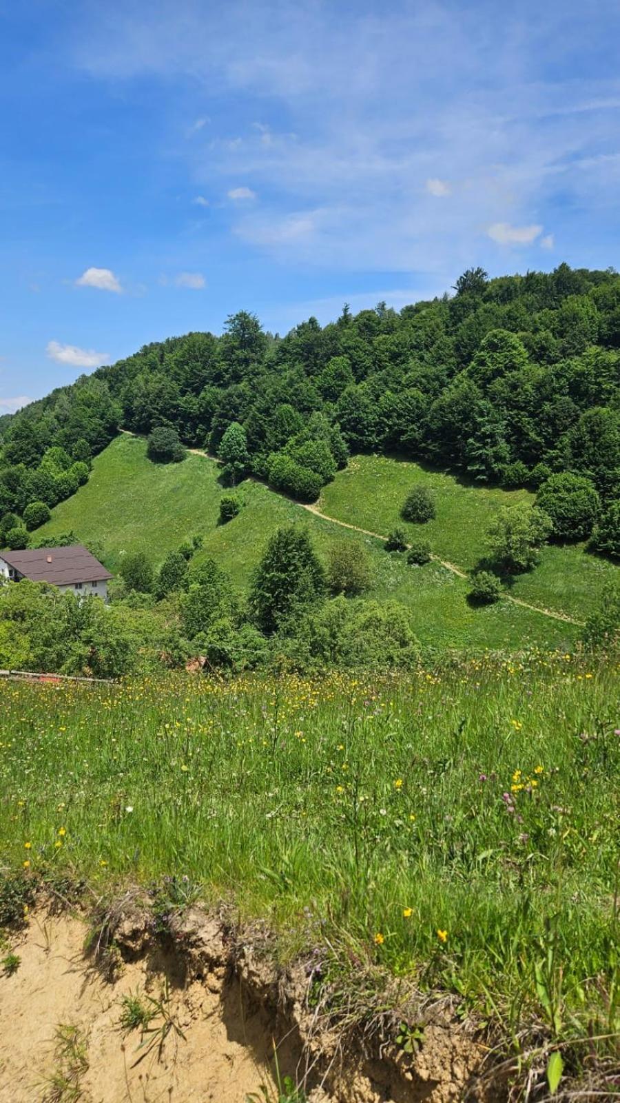 Bran Place La Odaie Simon Luaran gambar